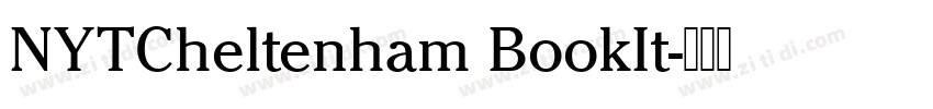 NYTCheltenham BookIt字体转换